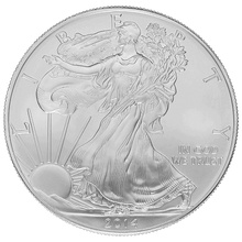 American Silver Eagle 1 Oz Common Date