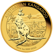 Australian Gold 1 Oz Kangaroo Common Date