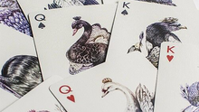 Bicycle AVES Uncaged Playing Cards by LUX Playing Cards