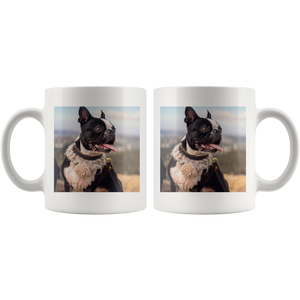 Test Multi Mug 12.30.19 - 2AA